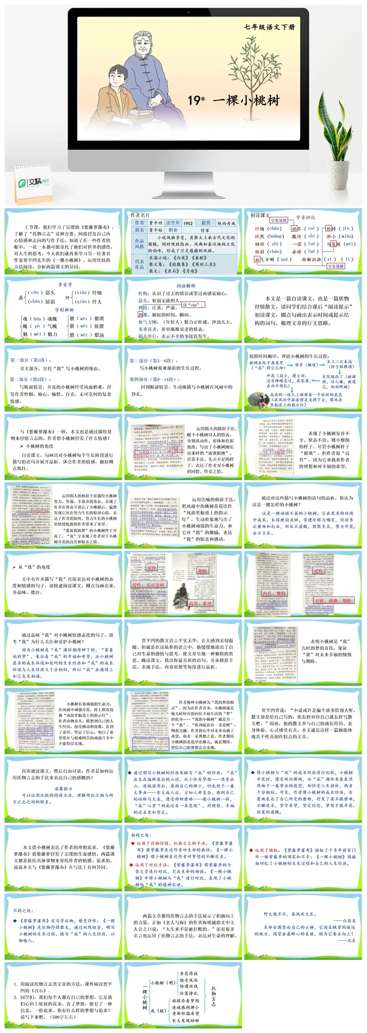 七年级语文下册课件三第五单元19一棵小桃树