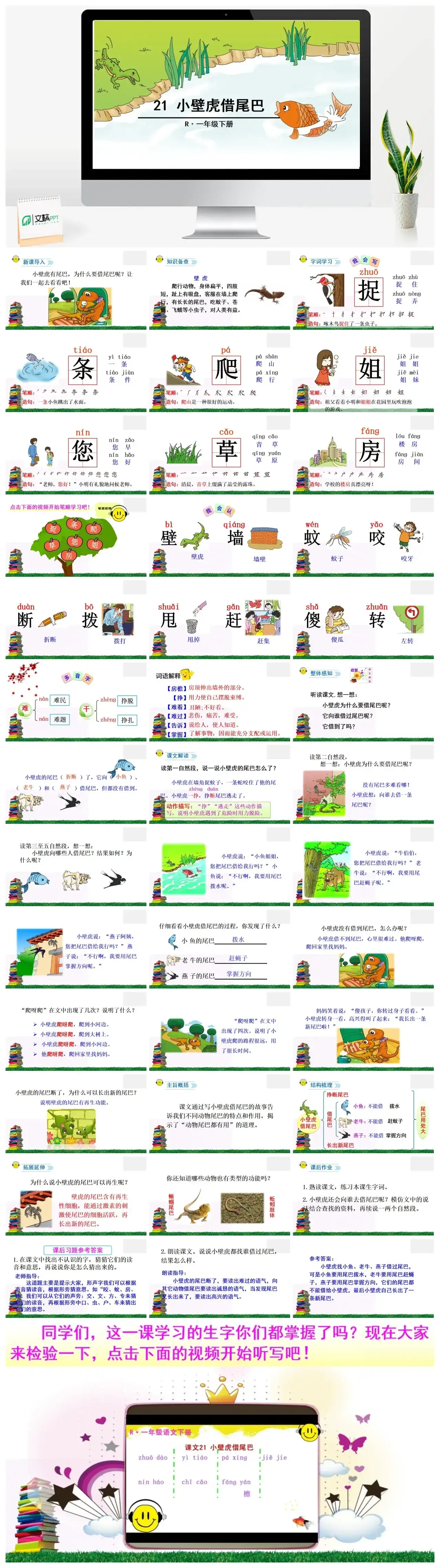一年下册课件PPT课件二第八单21小壁虎借尾巴