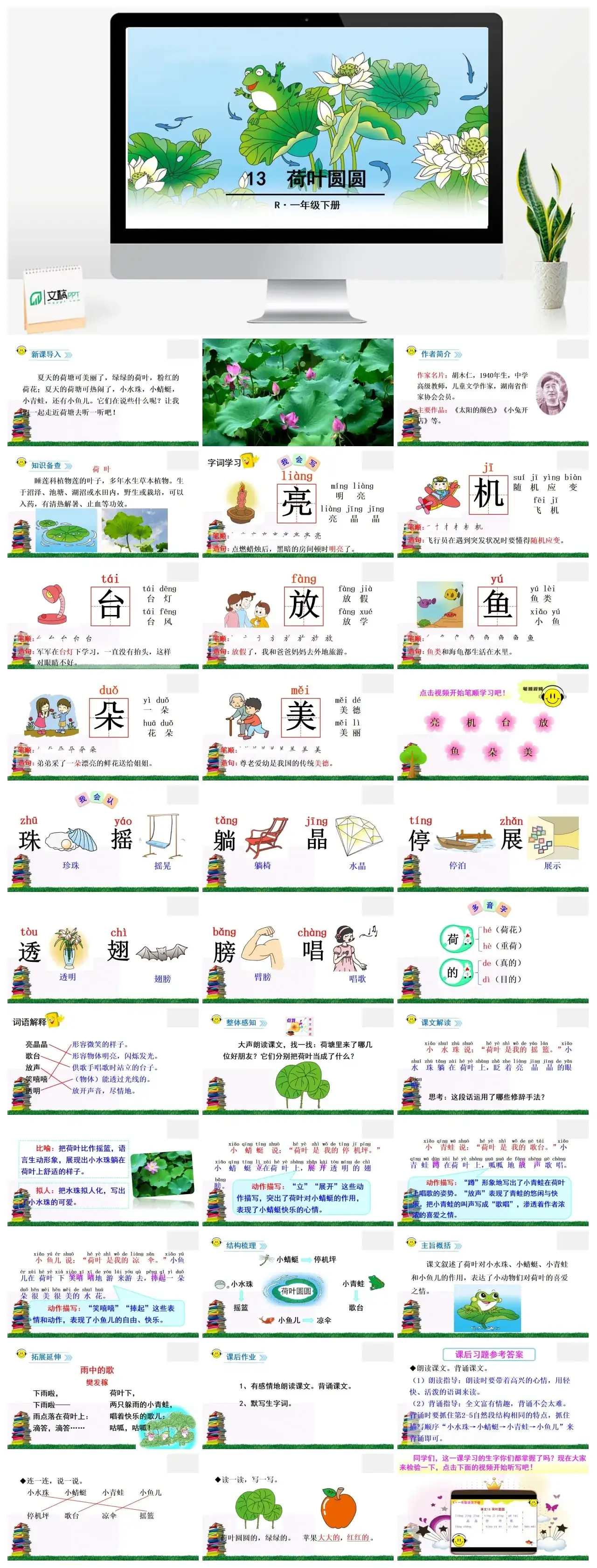 一年下册课件PPT课件二第六单13荷叶圆圆
