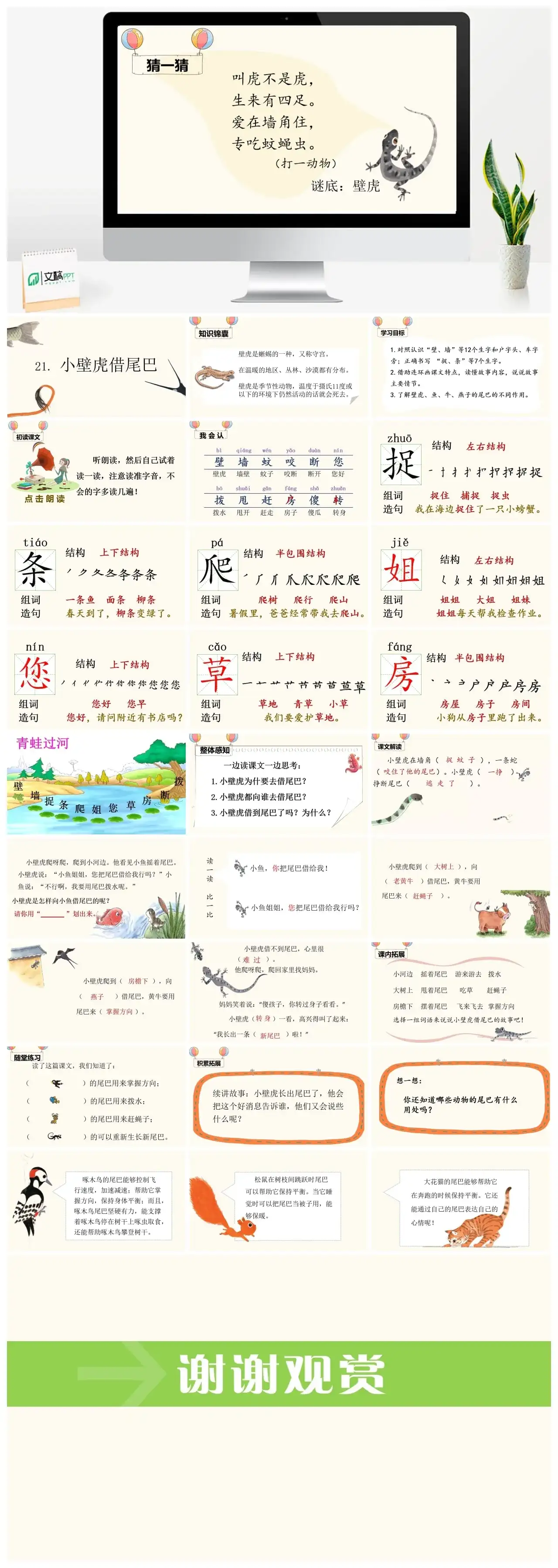 一年下册课件PPT课件四第八单（精品·课堂教学课件）21小壁虎借尾巴