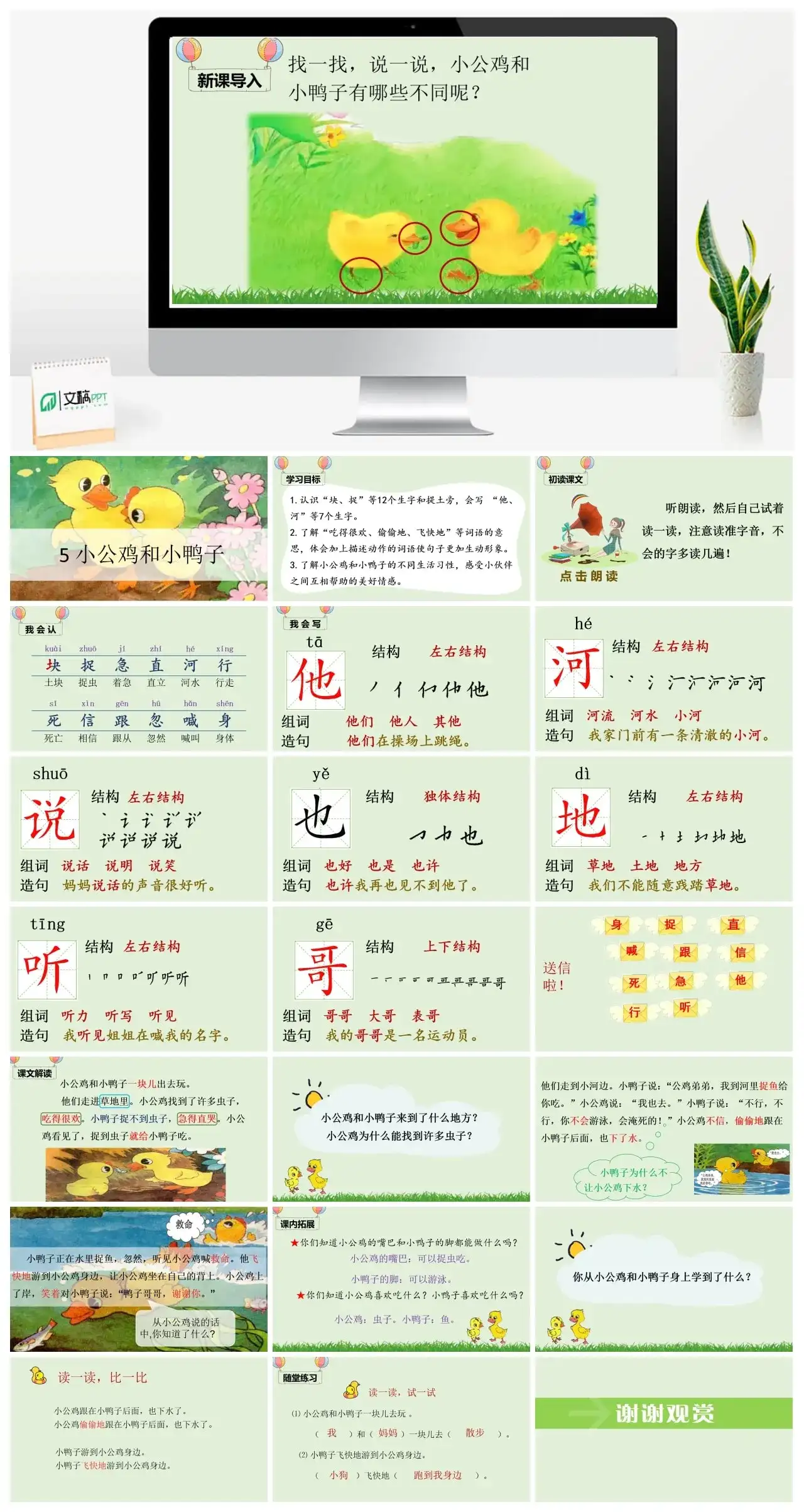 一年下册课件PPT课件四第三单（精品·课堂教学课件）5小公鸡和小鸭子