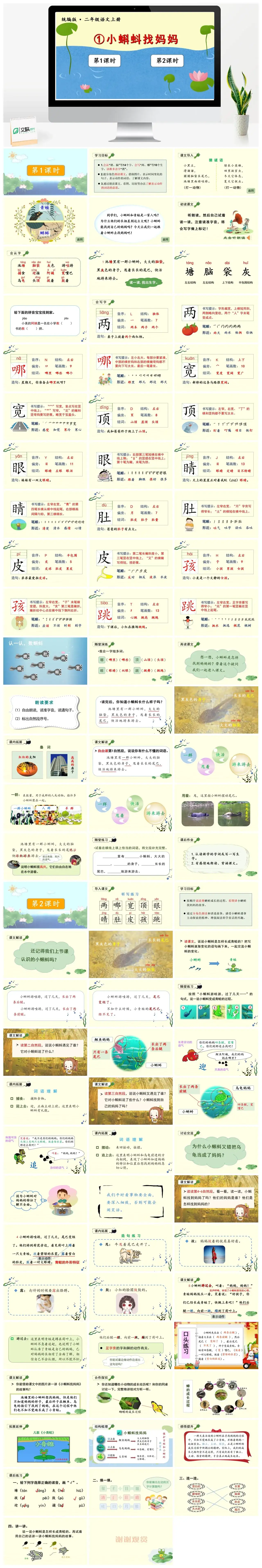 二年级上册PPT课件课件三第一单元1小蝌蚪找妈妈