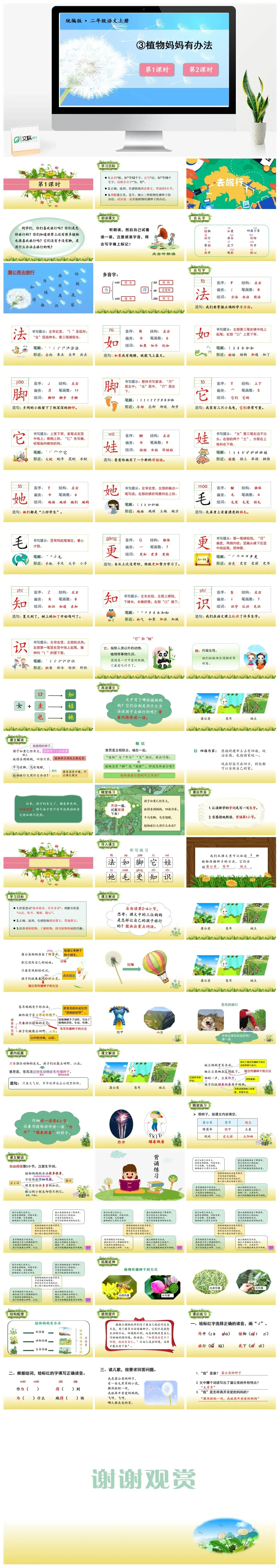二年级上册PPT课件课件三第一单元3植物妈妈有办法