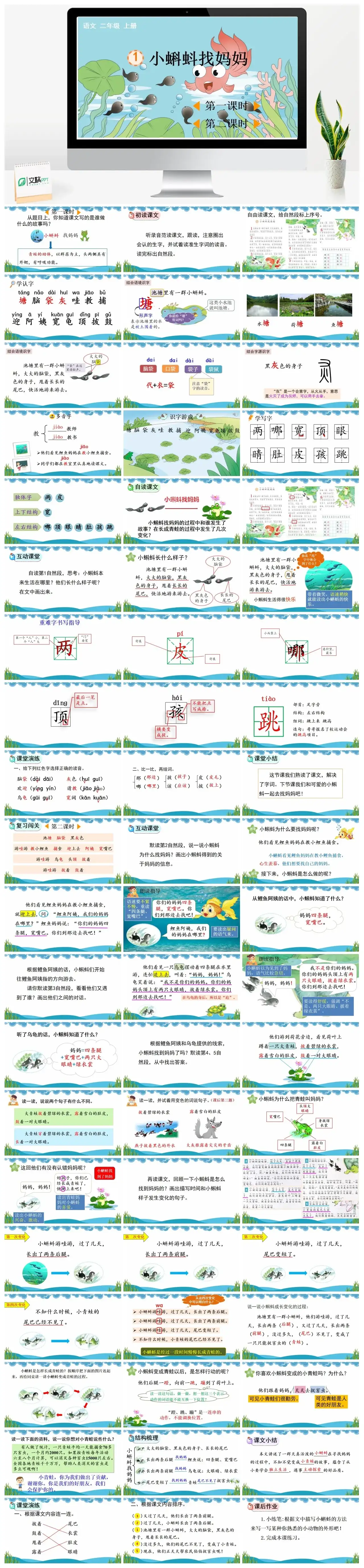 二年级上册PPT课件课件一1小蝌蚪找妈妈