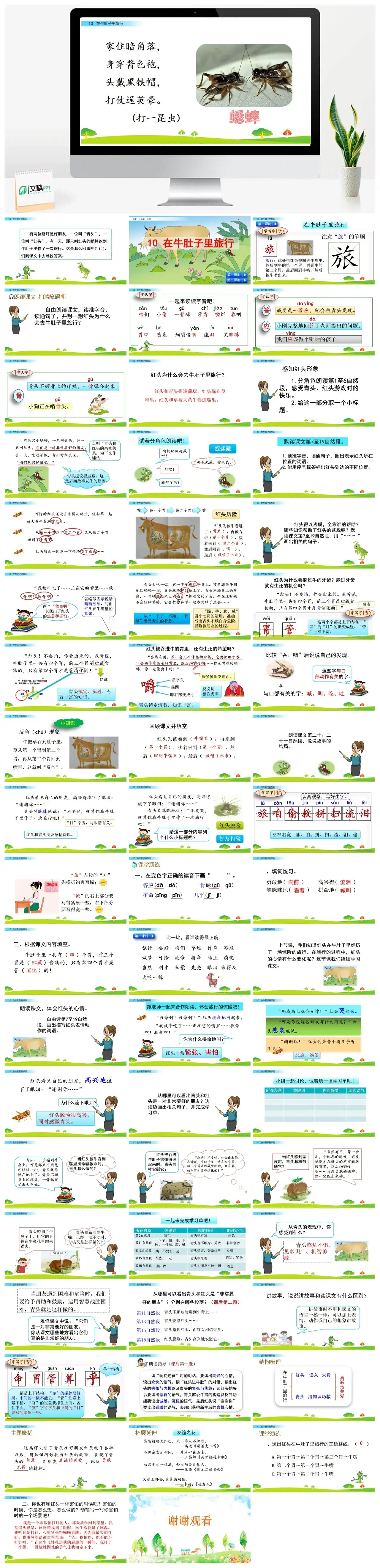 三年级上册课件课件二10在牛肚子里旅行