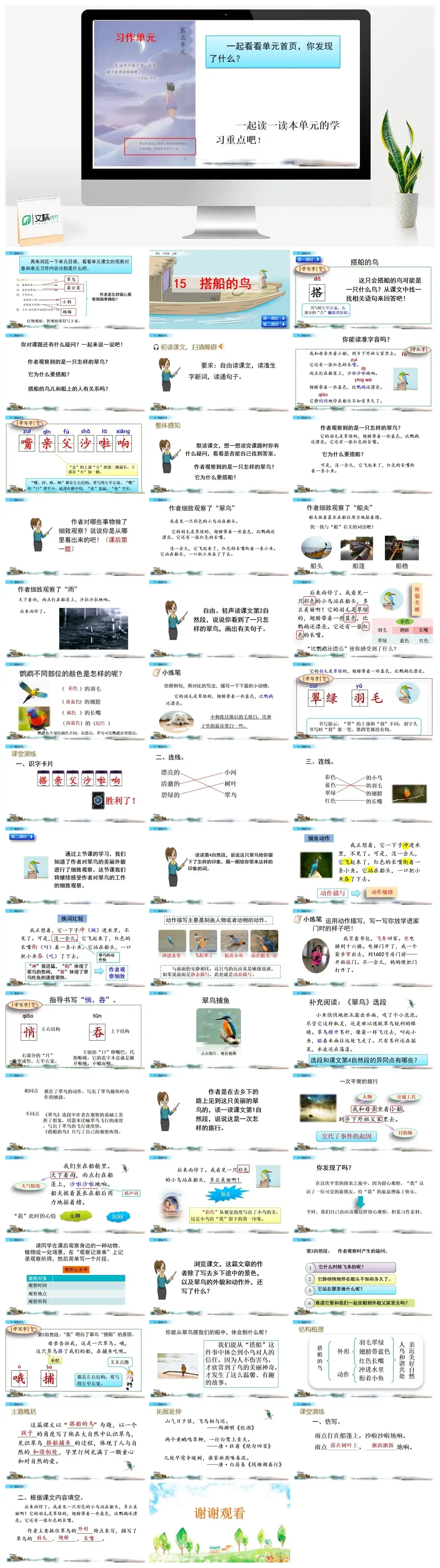 三年级上册课件课件二15搭船的鸟