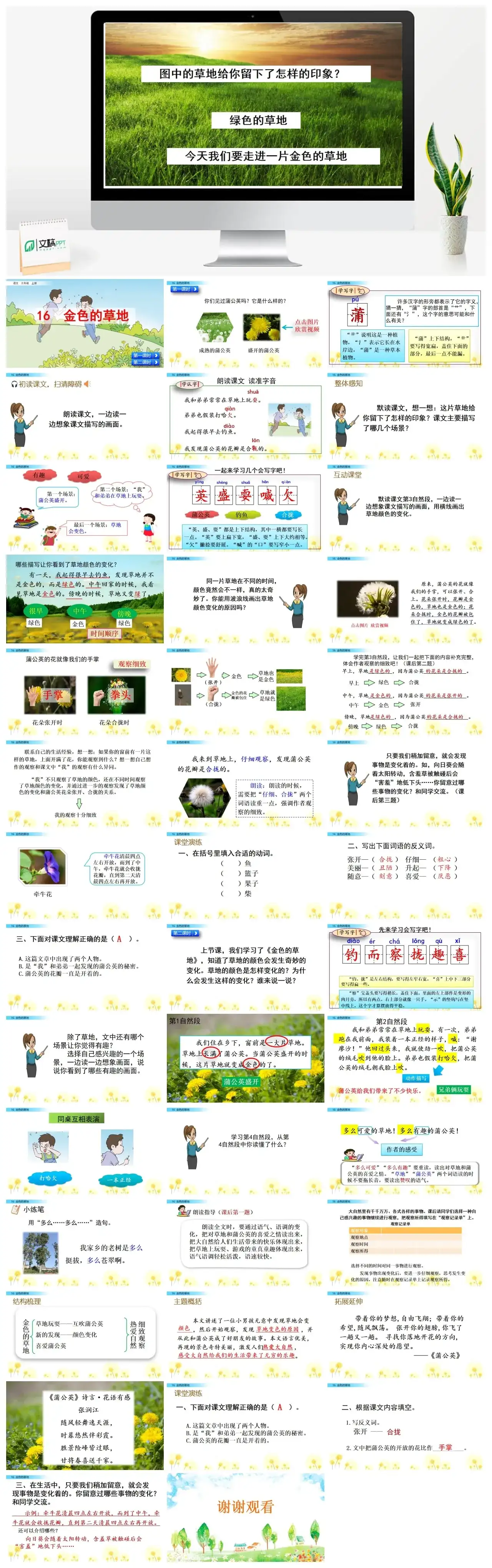 三年级上册课件课件二16金色的草地