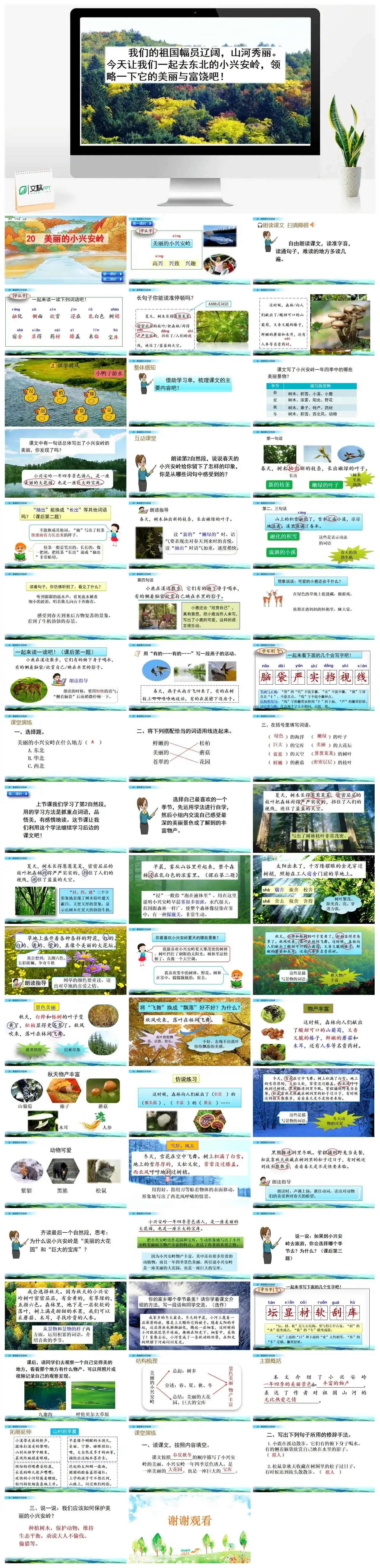 三年级上册课件课件二20美丽的小兴安岭