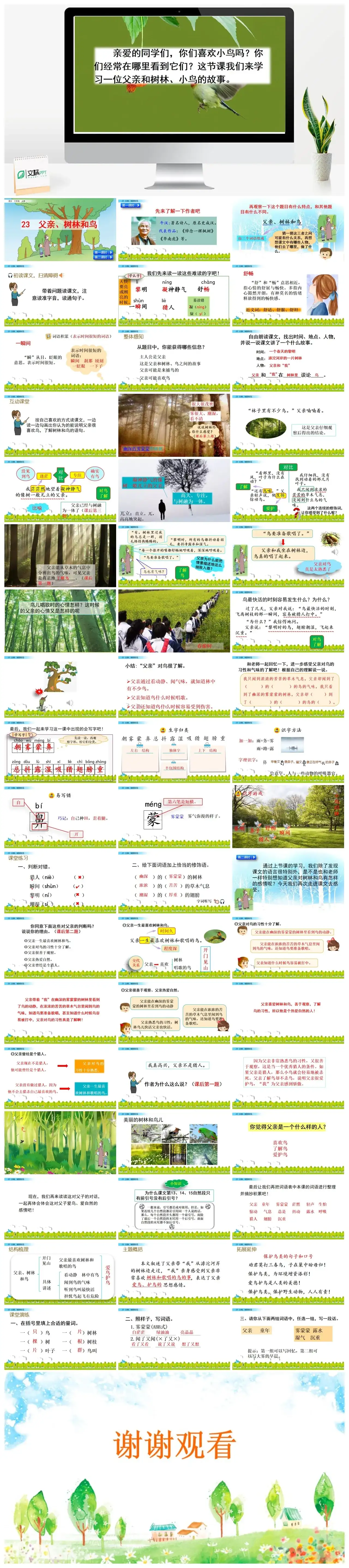 三年级上册课件课件二23父亲、树林和鸟