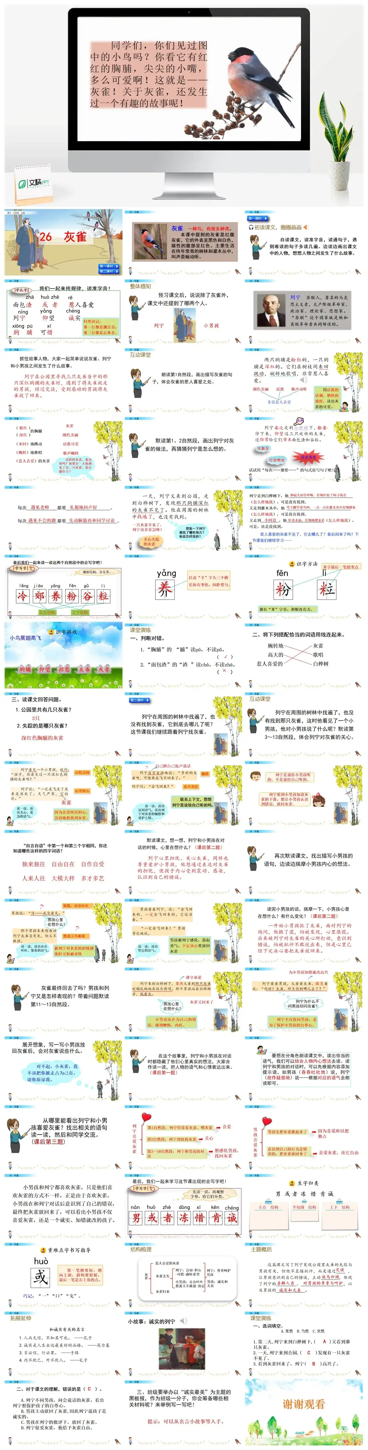 三年级上册课件课件二26灰雀