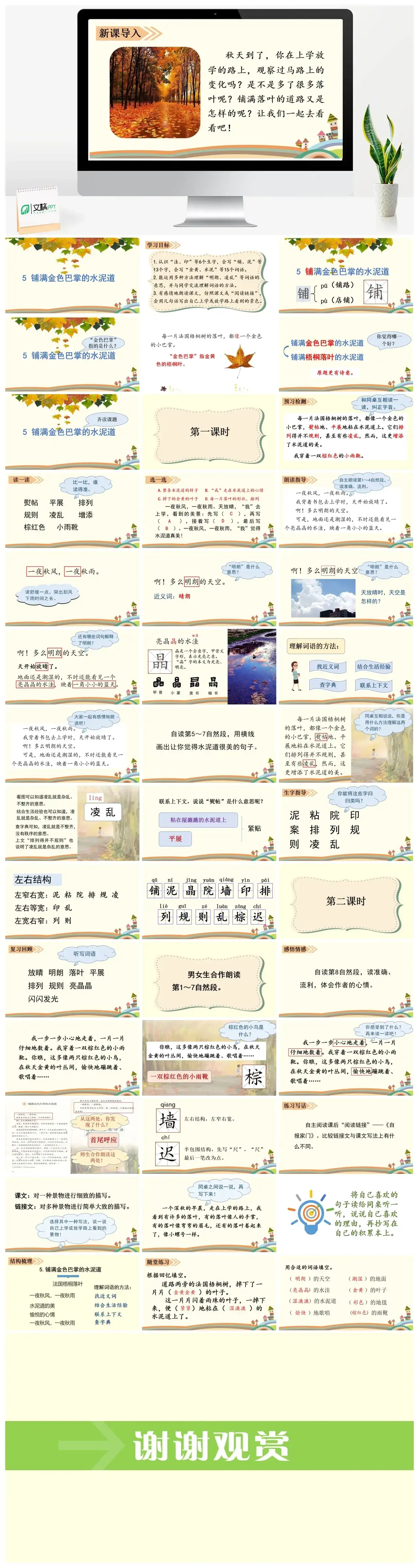 三年级上册课件课件三第二单元5.铺满金色巴掌的水泥道