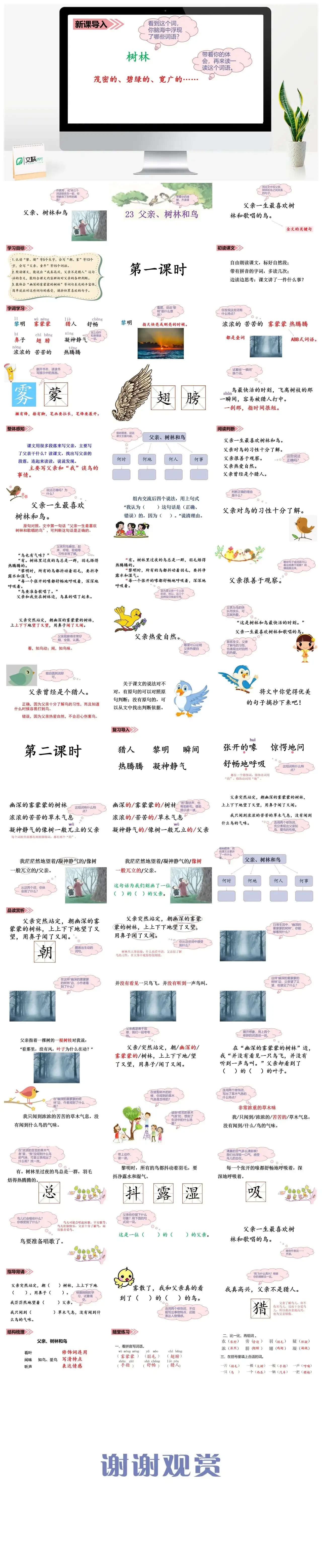 三年级上册课件课件三第七单元23.父亲、树林和鸟