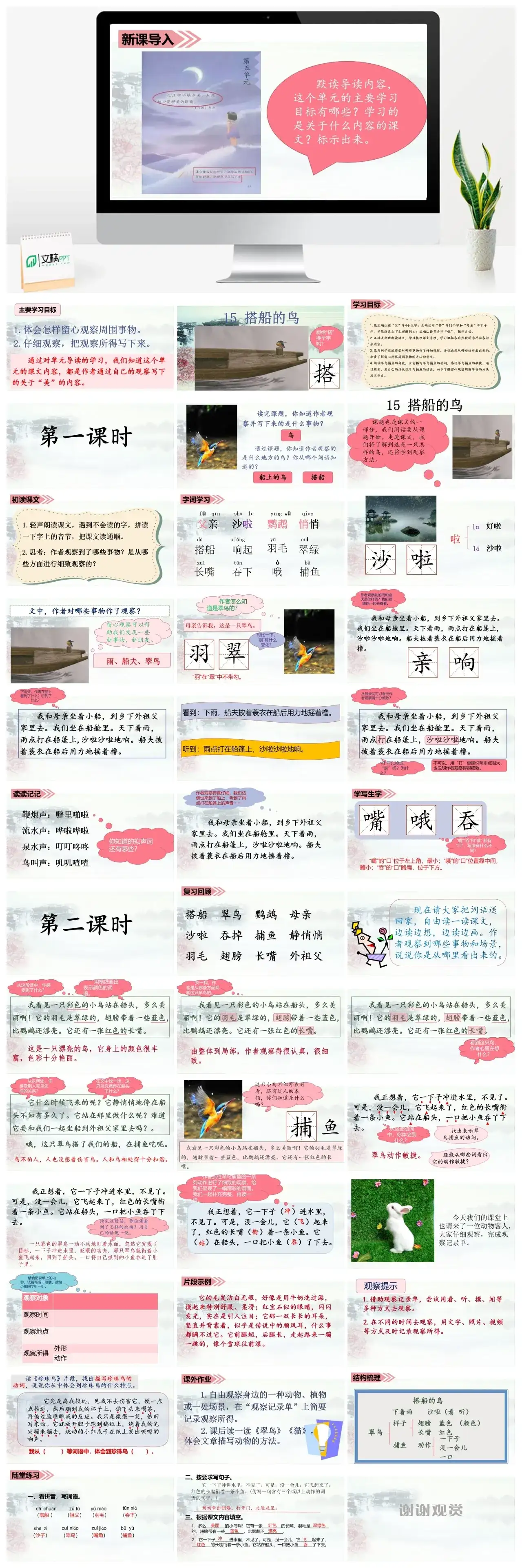 三年级上册课件课件三第五单元15.搭船的鸟