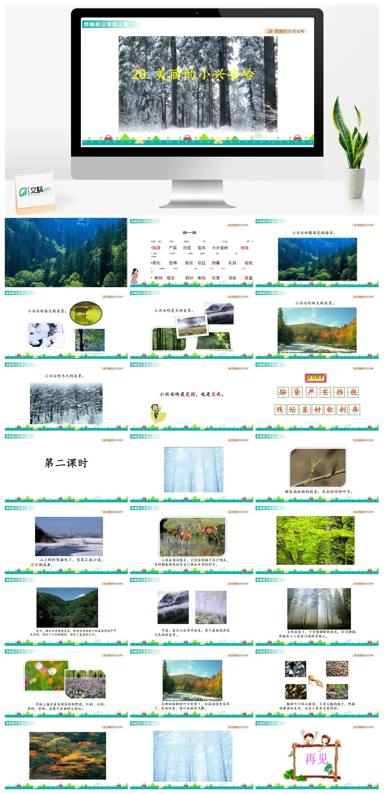 三年级上册课件课件一第六单元20美丽的小兴安岭