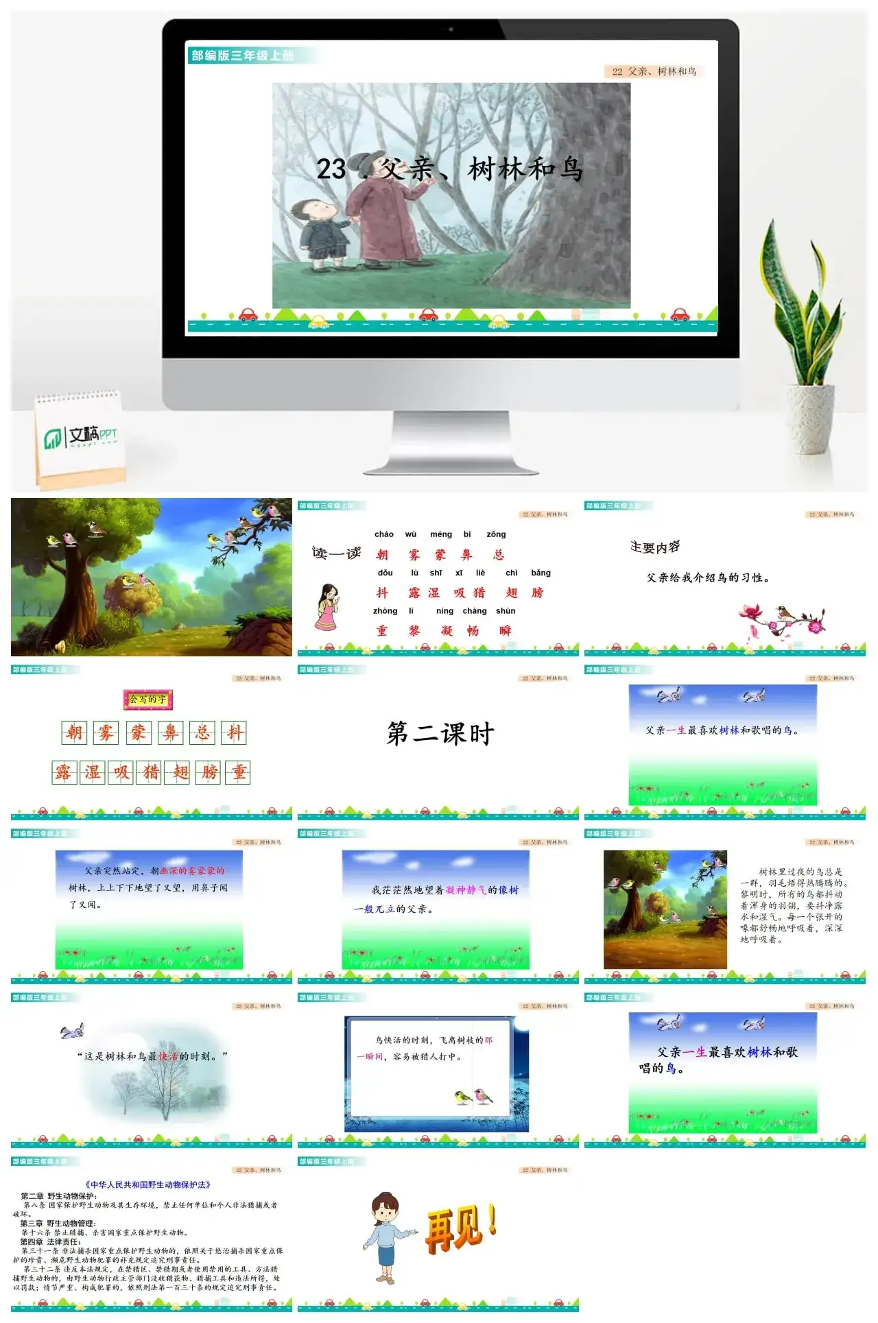 三年级上册课件课件一第七单元23父亲、树林和鸟