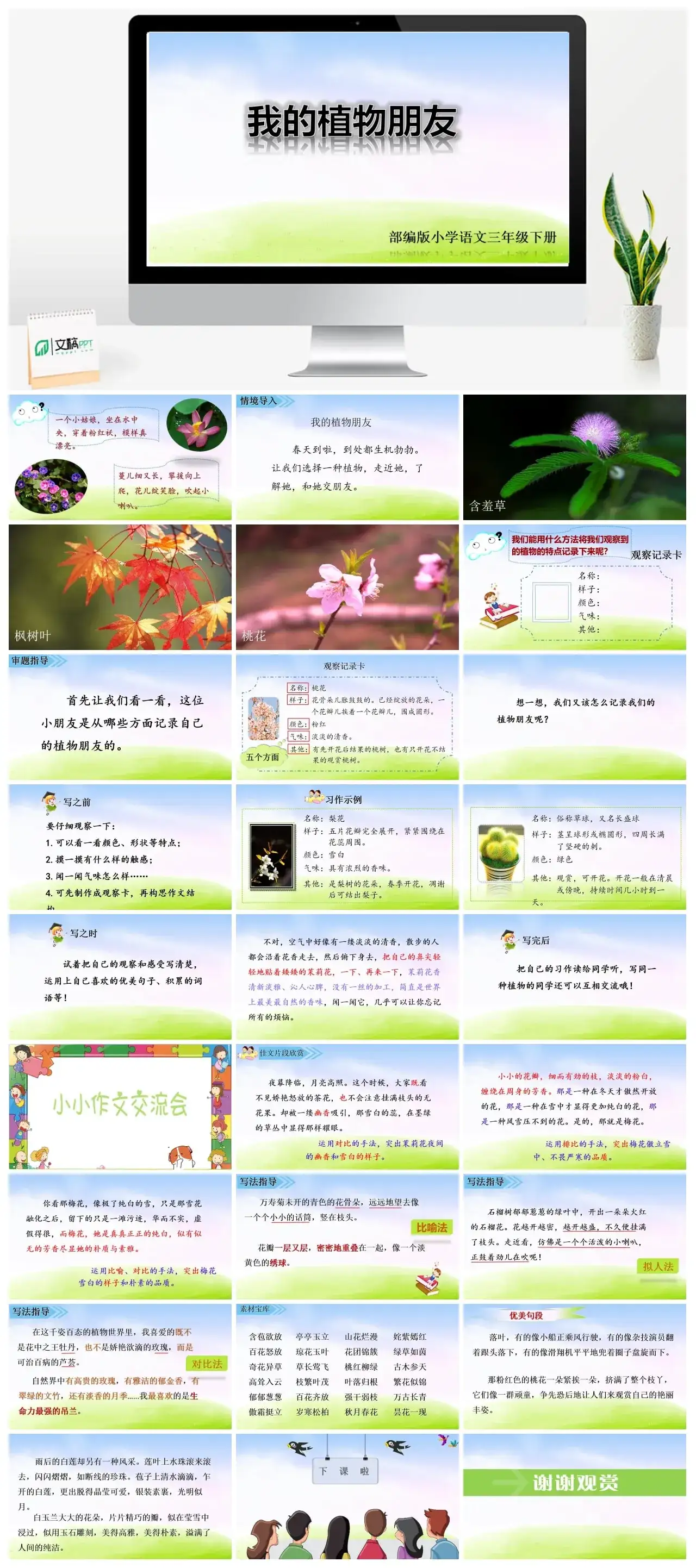 三年级下册PPT课件第一单元习作课件我的植物朋友