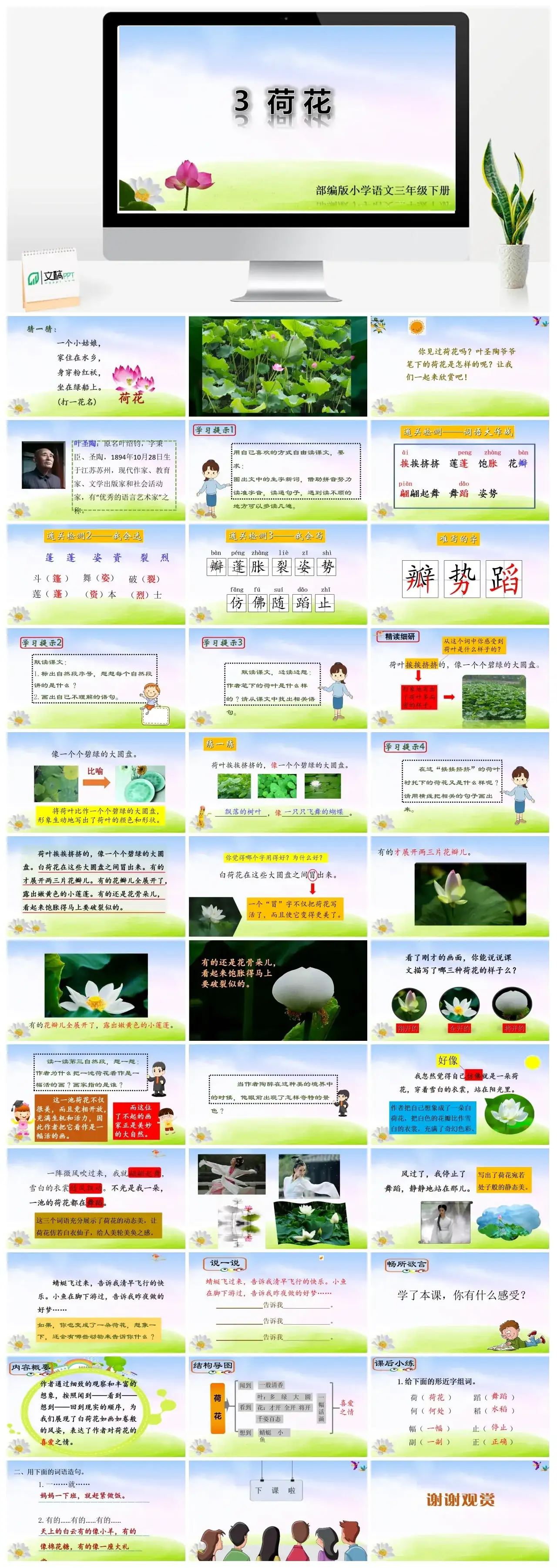 三年级下册PPT课件课件二第一单元3荷花