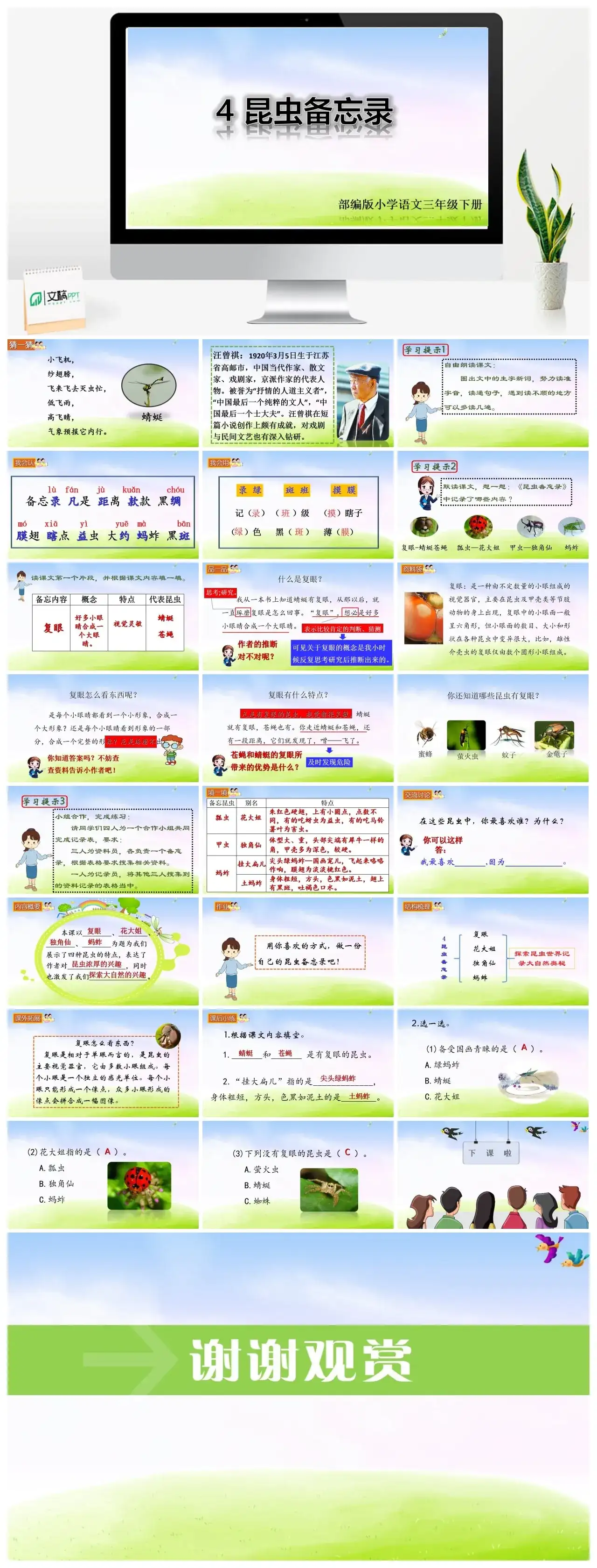 三年级下册PPT课件课件二第一单元4昆虫备忘录