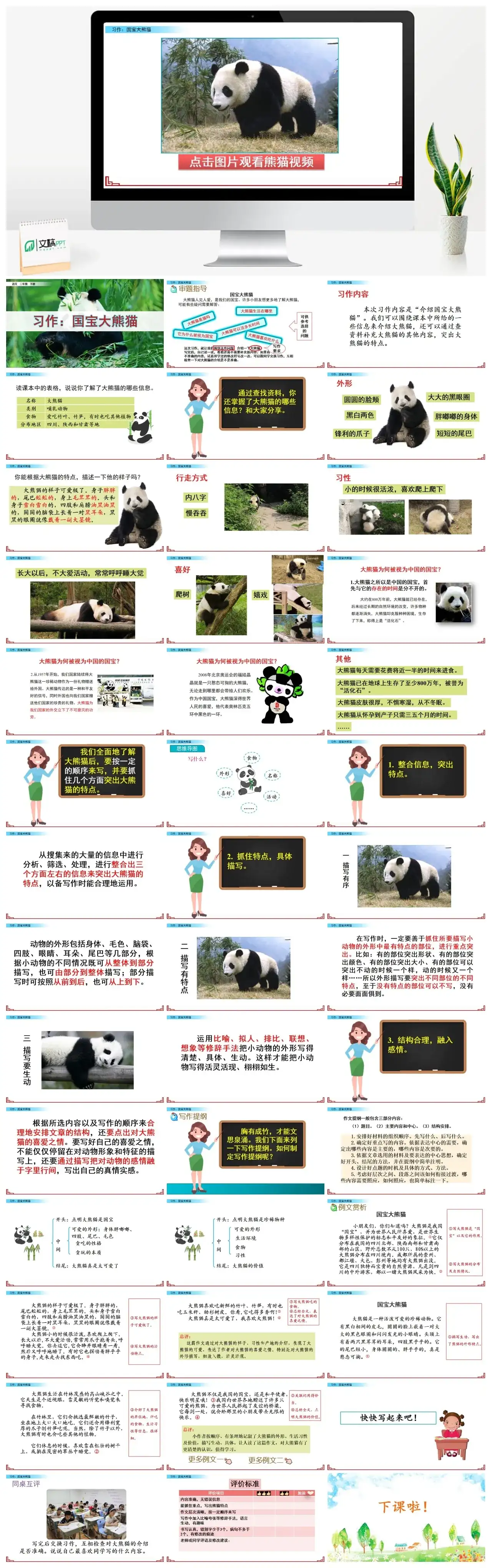 三年级下册PPT课件课件一第七单元习作：国宝大熊猫