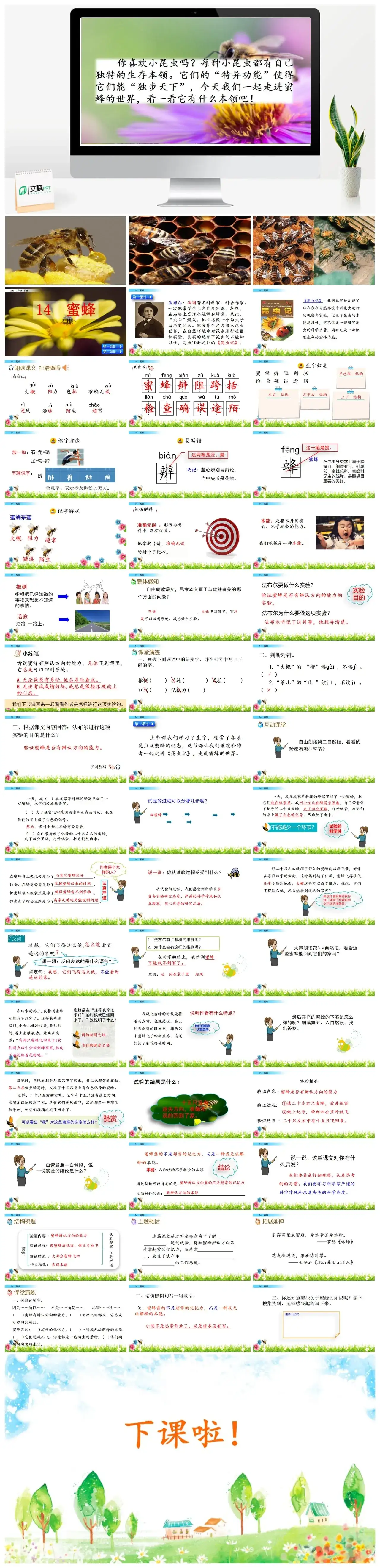 三年级下册PPT课件课件一第四单元14蜜蜂