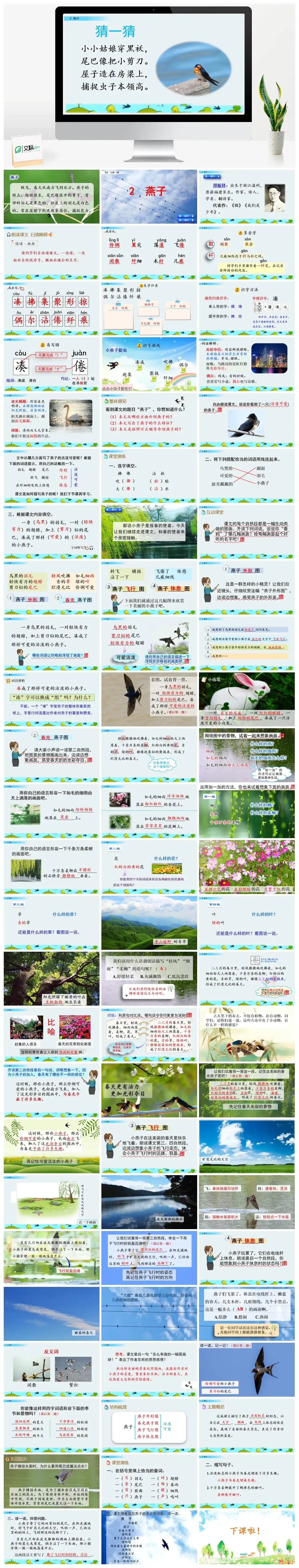 三年级下册PPT课件课件一第一单元2燕子