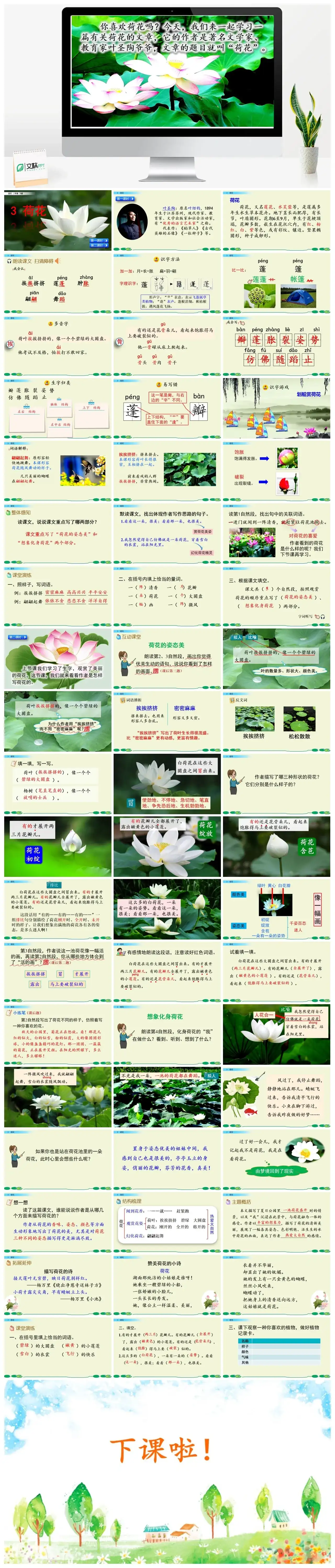 三年级下册PPT课件课件一第一单元3荷花