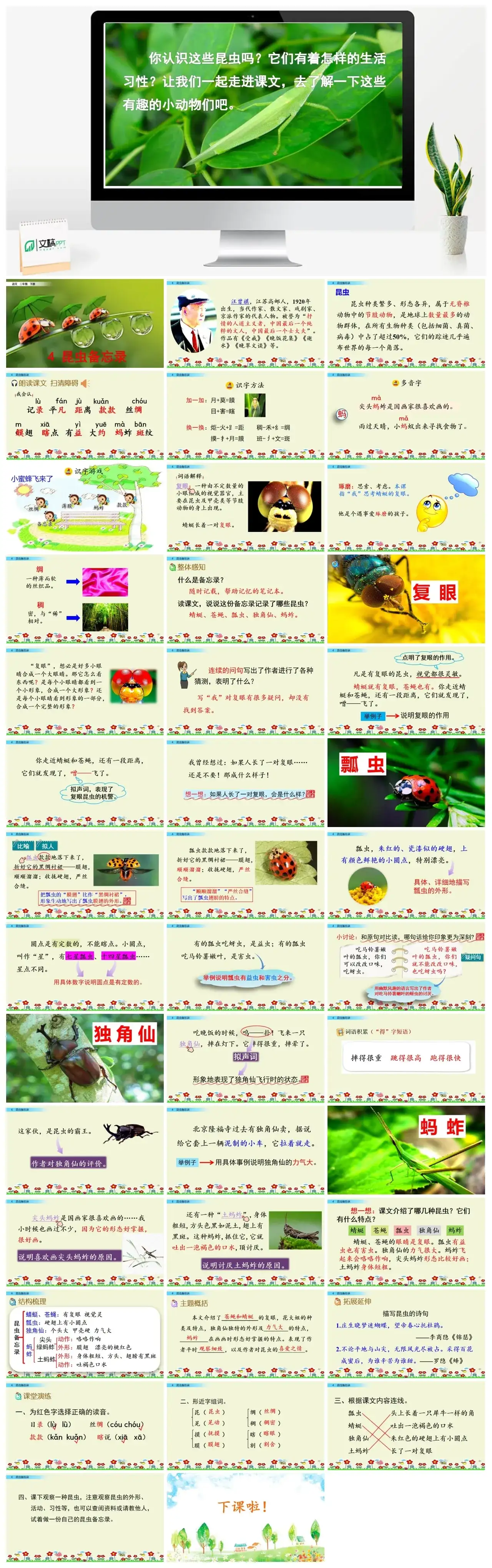 三年级下册PPT课件课件一第一单元4昆虫备忘录