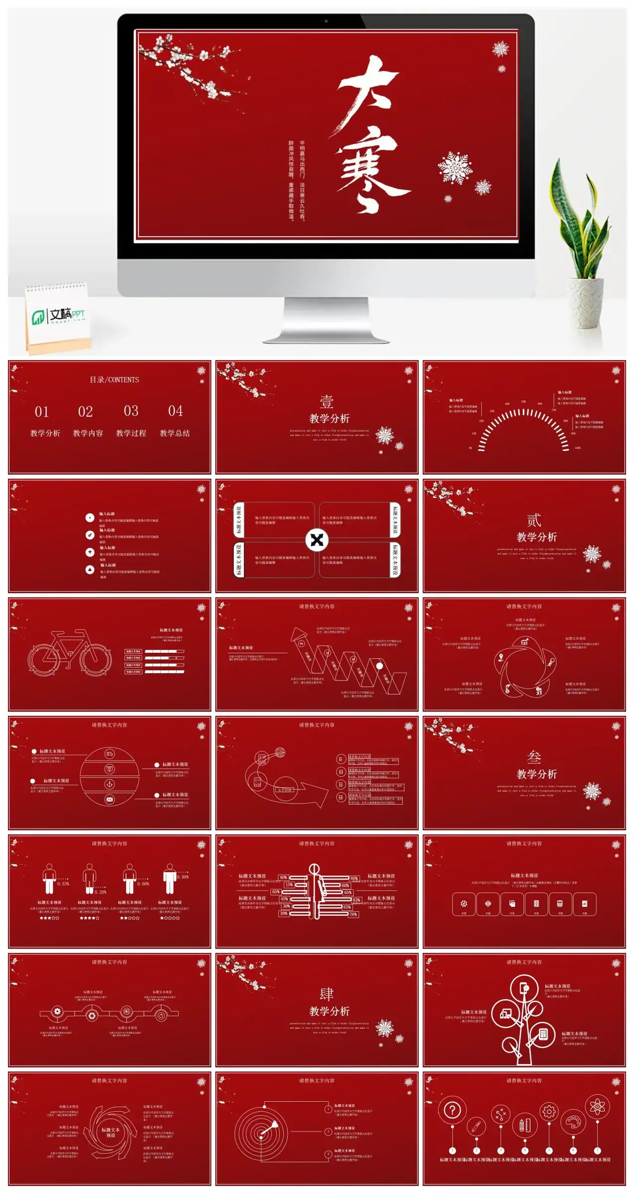 红色大寒介绍PPT