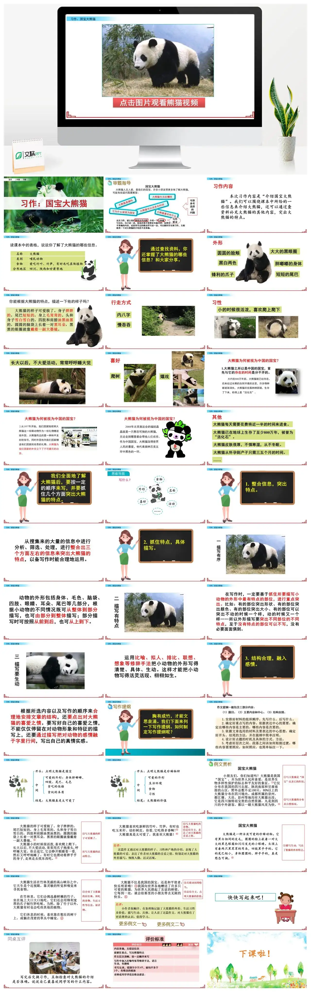 三年级语文课件下册课件一第七单元习作：国宝大熊猫