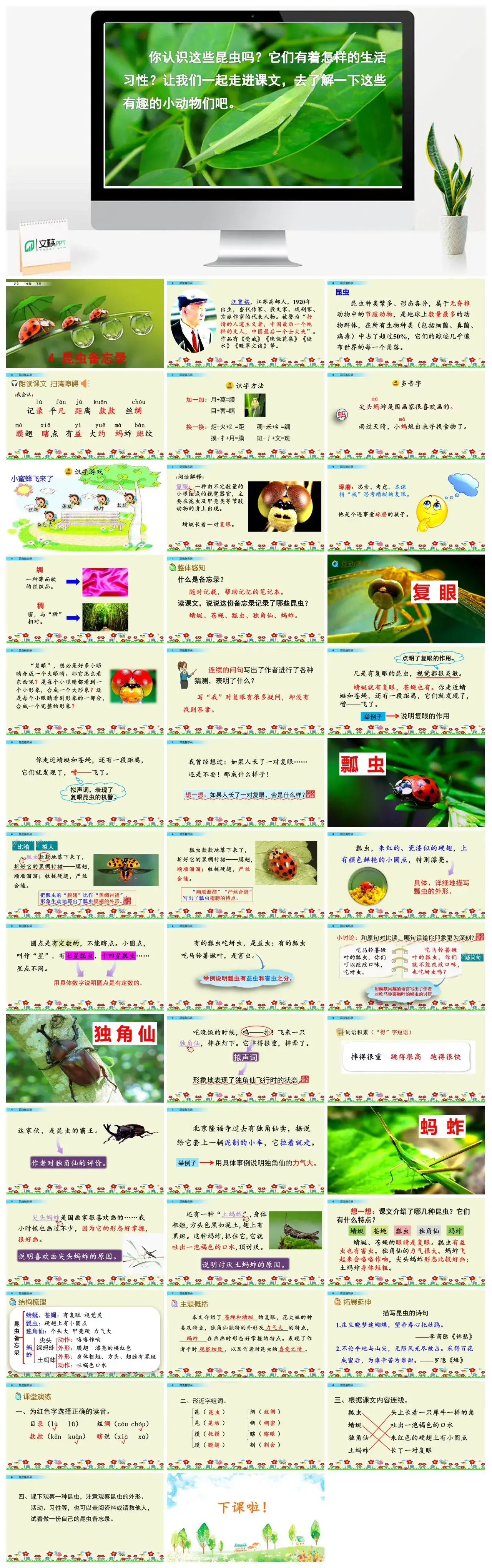三年级语文课件下册课件一第一单元4昆虫备忘录