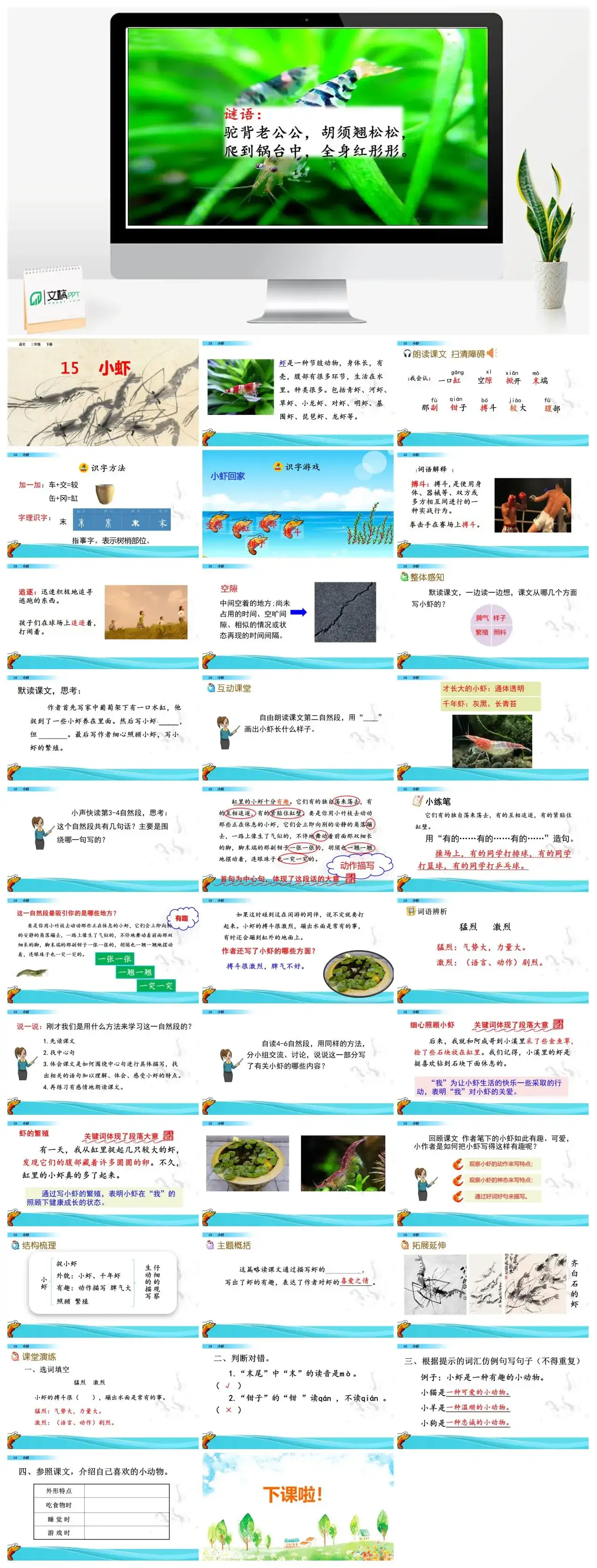 三年级语文课件下册课件一第四单元15小虾