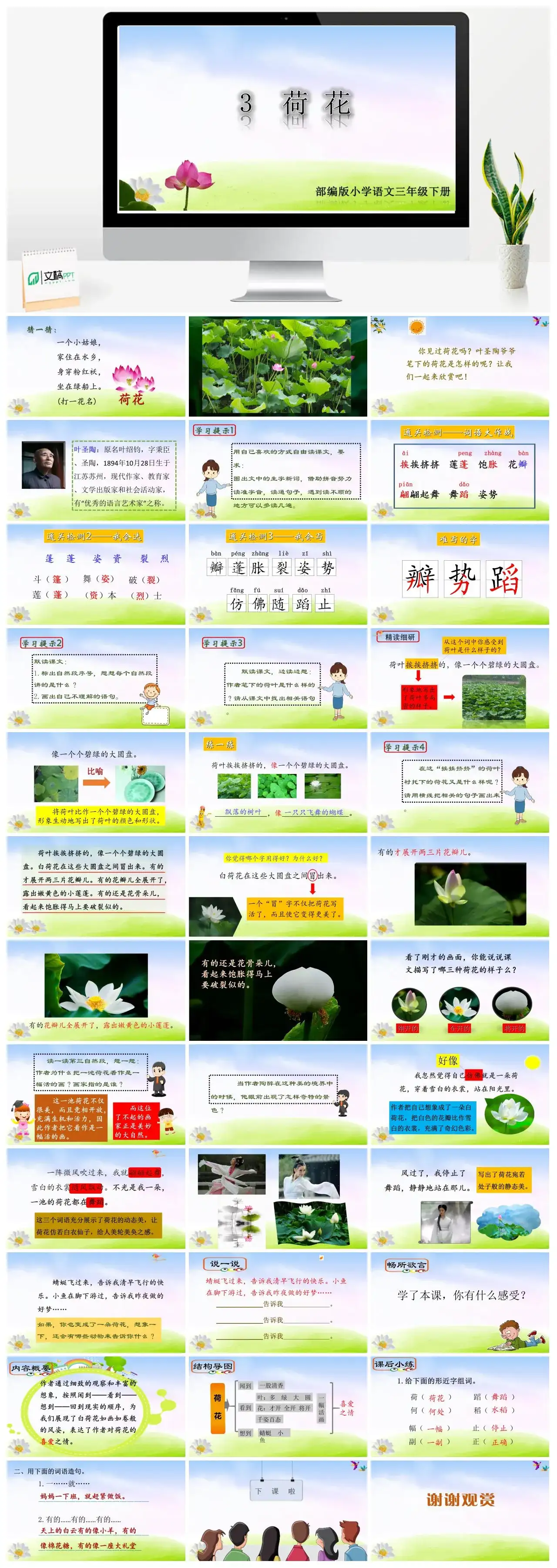 三年级语文课件下册课件二第一单元3荷花