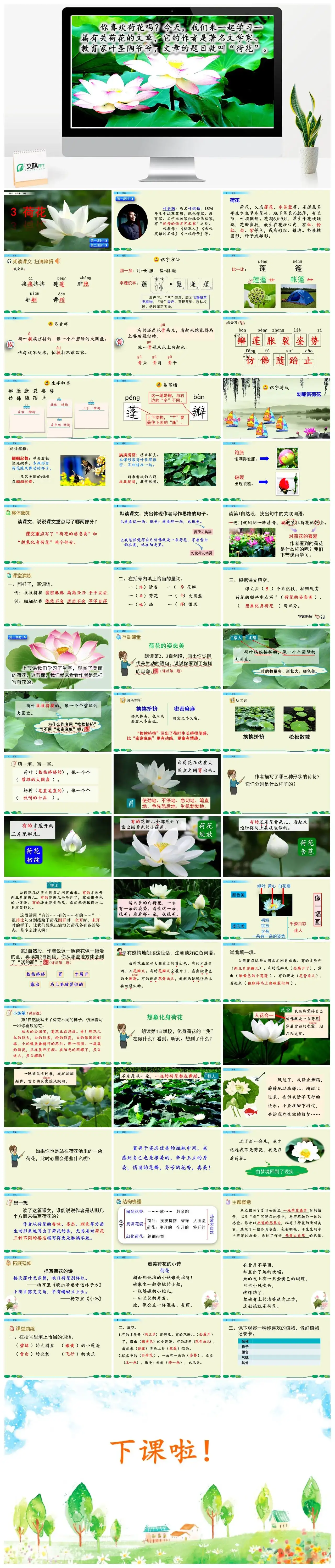 三年级语文课件下册课件一第一单元3荷花