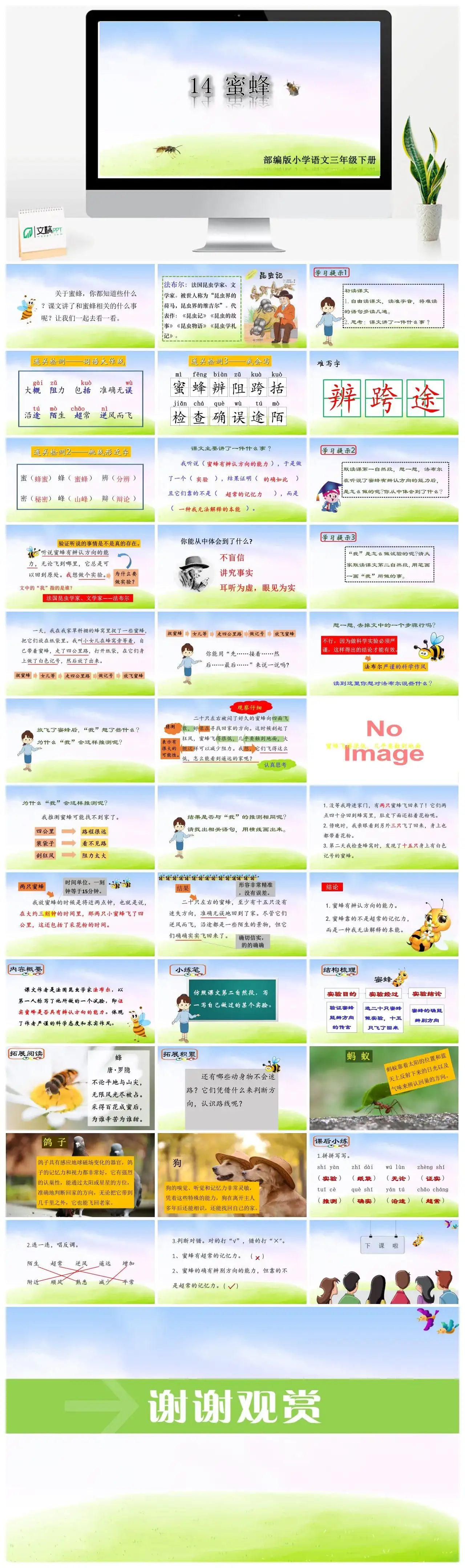 三年级语文课件下册课件二第四单元14蜜蜂
