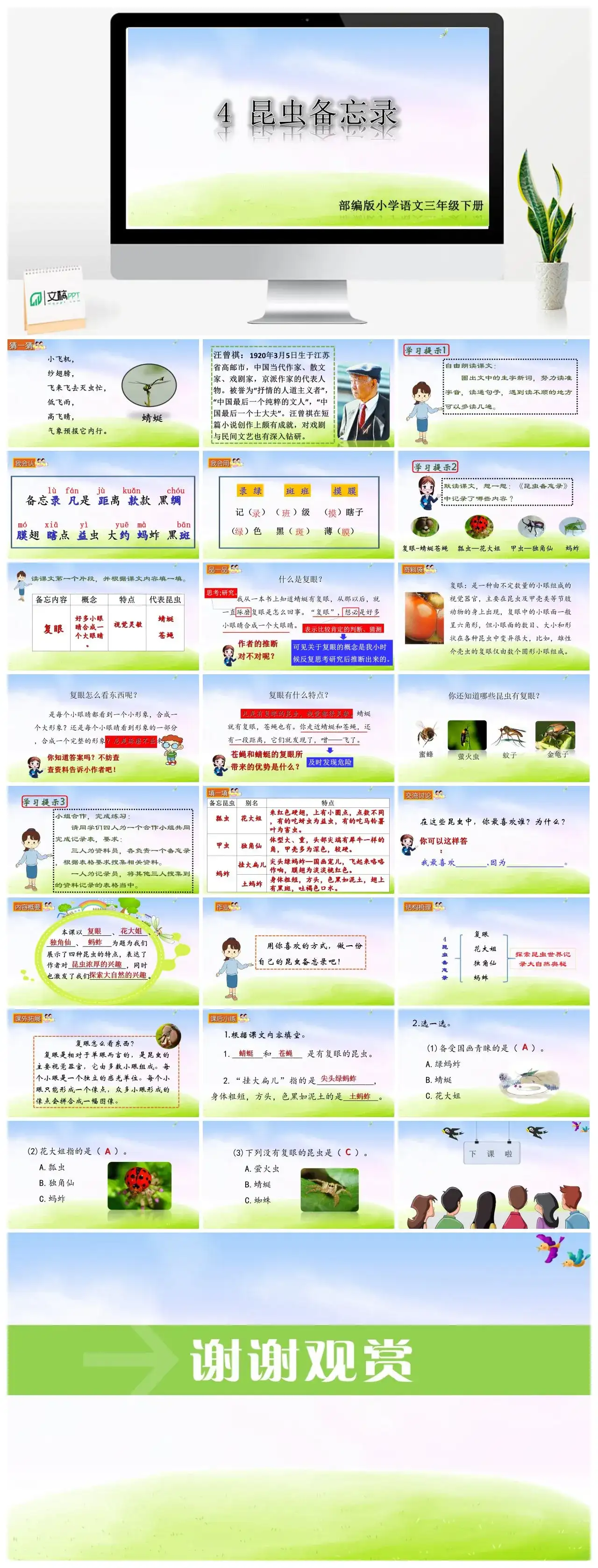 三年级语文课件下册课件二第一单元4昆虫备忘录