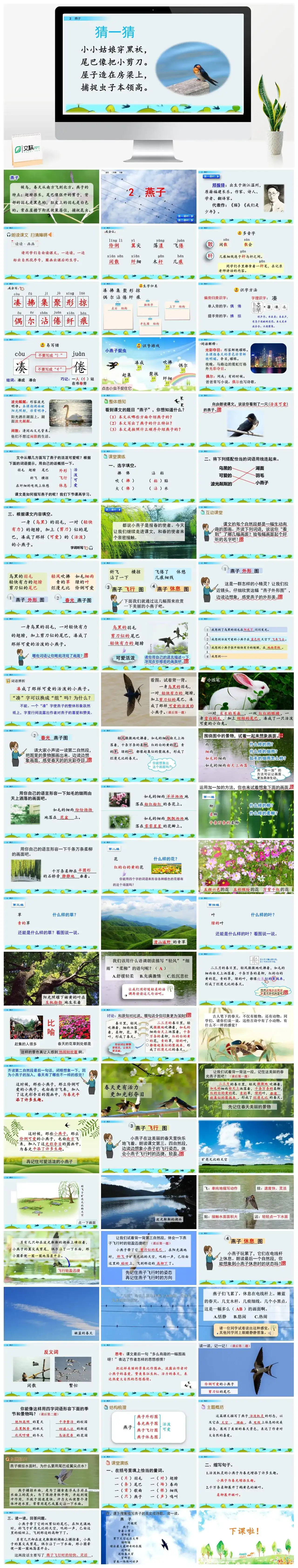 三年级语文课件下册课件一第一单元2燕子