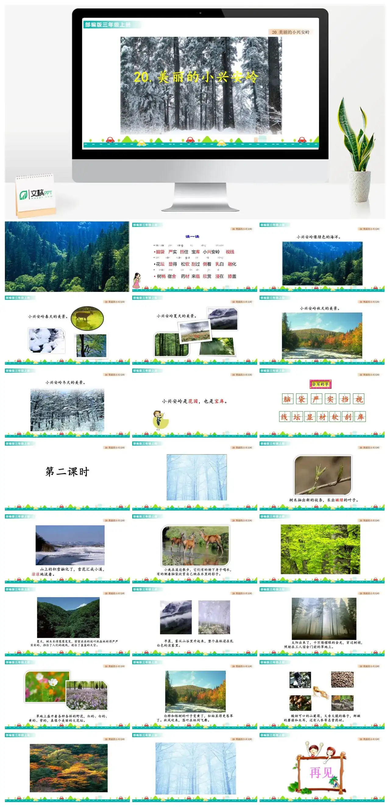 三年级语文课件课件一第六单元20美丽的小兴安岭