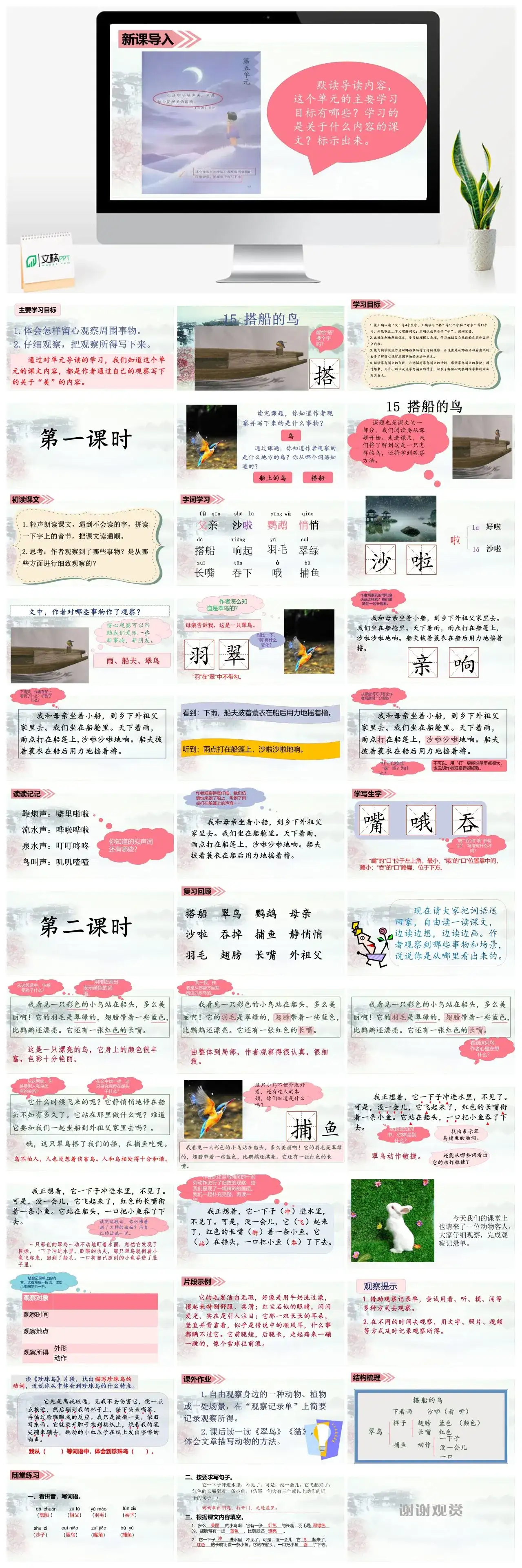三年级语文课件课件三第五单元15.搭船的鸟