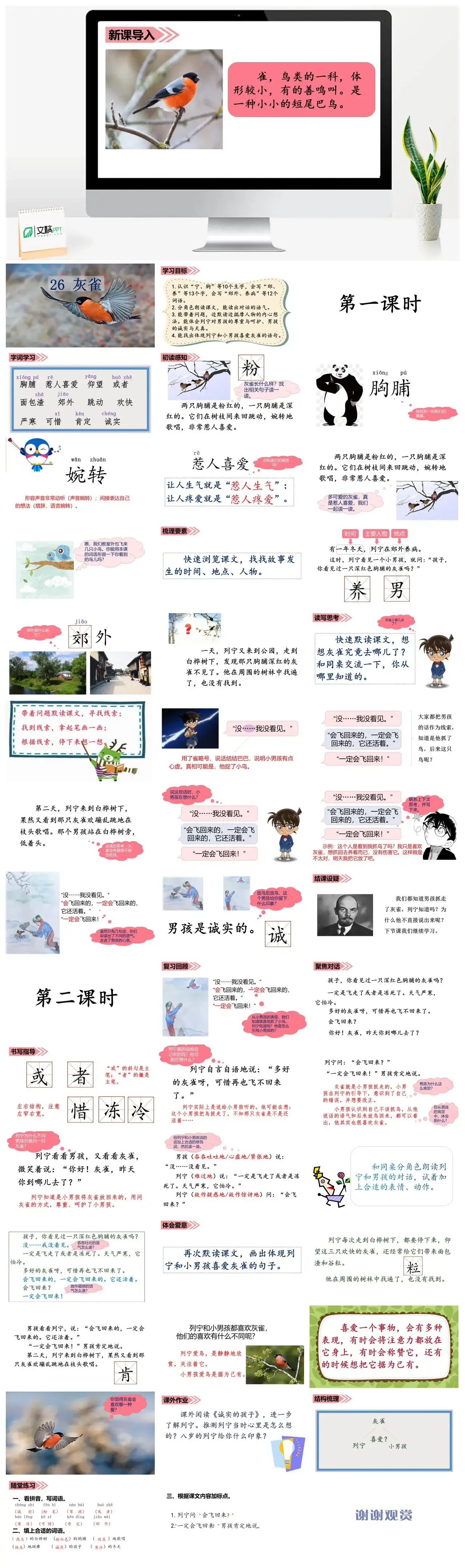 三年级语文课件课件三第八单元26灰雀