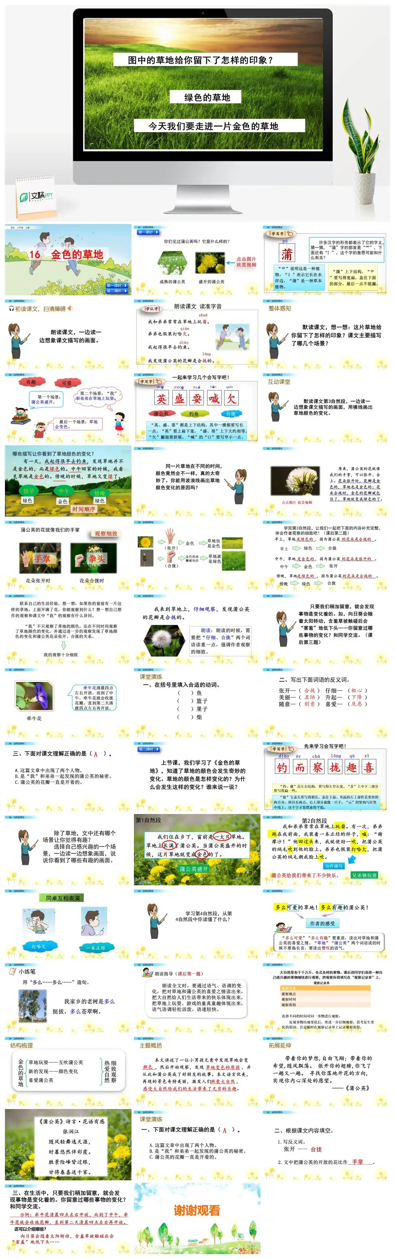 三年级语文课件课件二16金色的草地