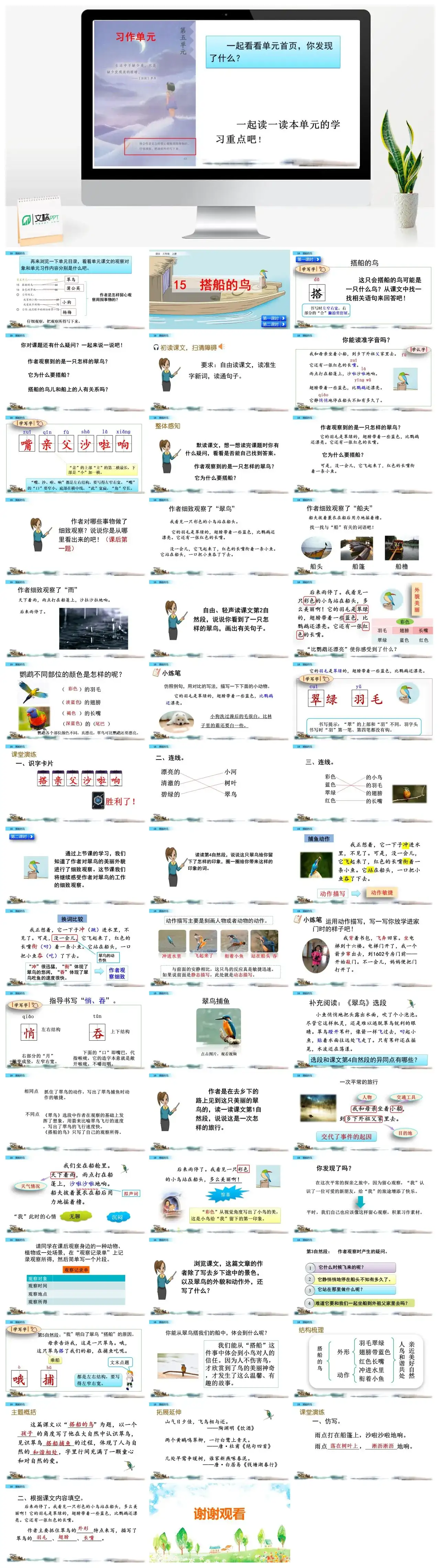三年级语文课件课件二15搭船的鸟