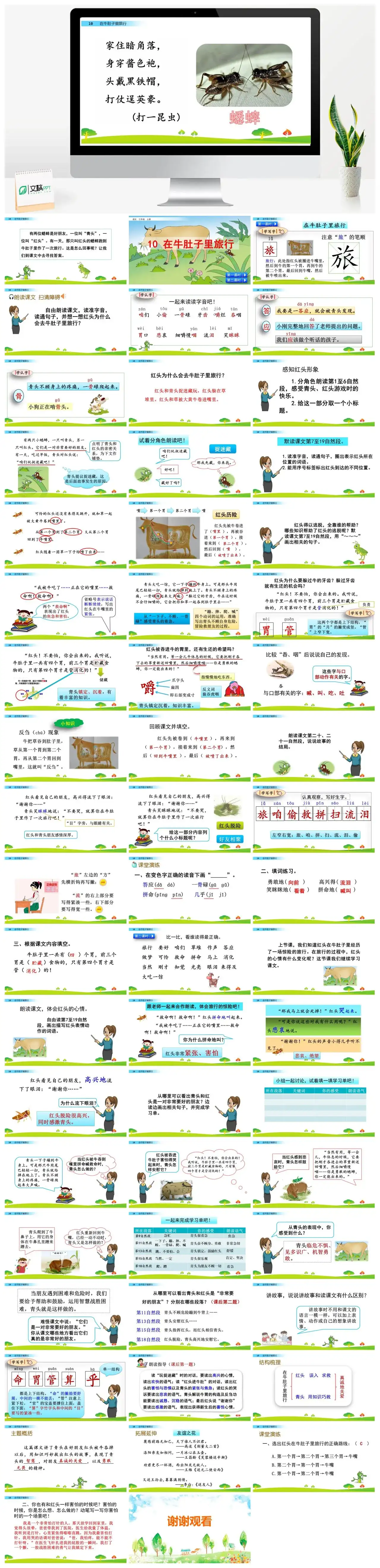 三年级语文课件课件二10在牛肚子里旅行