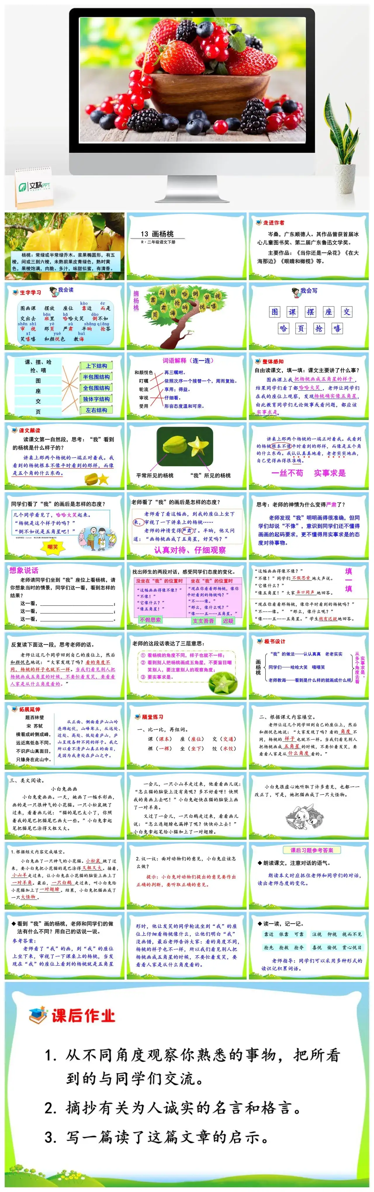二年级语文下册课件PPT课件一第五单元13画杨桃