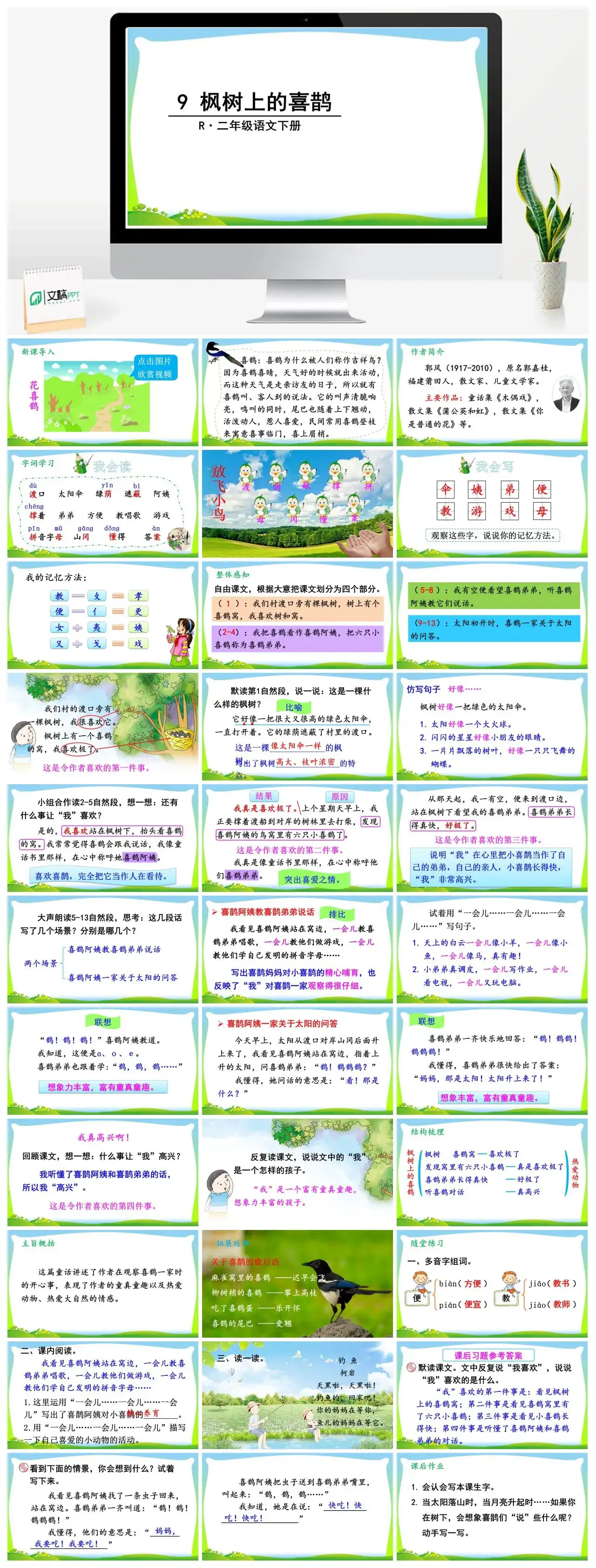 二年级语文下册课件PPT课件一第四单元9枫树上的喜鹊