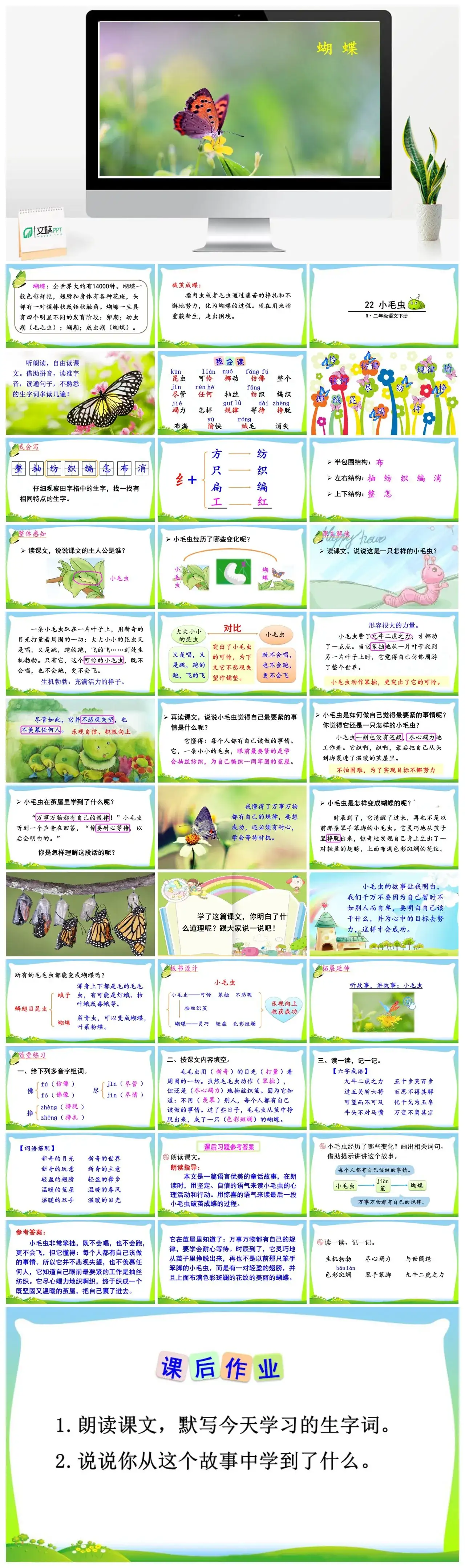 二年级语文下册课件PPT课件一第七单元22小毛虫
