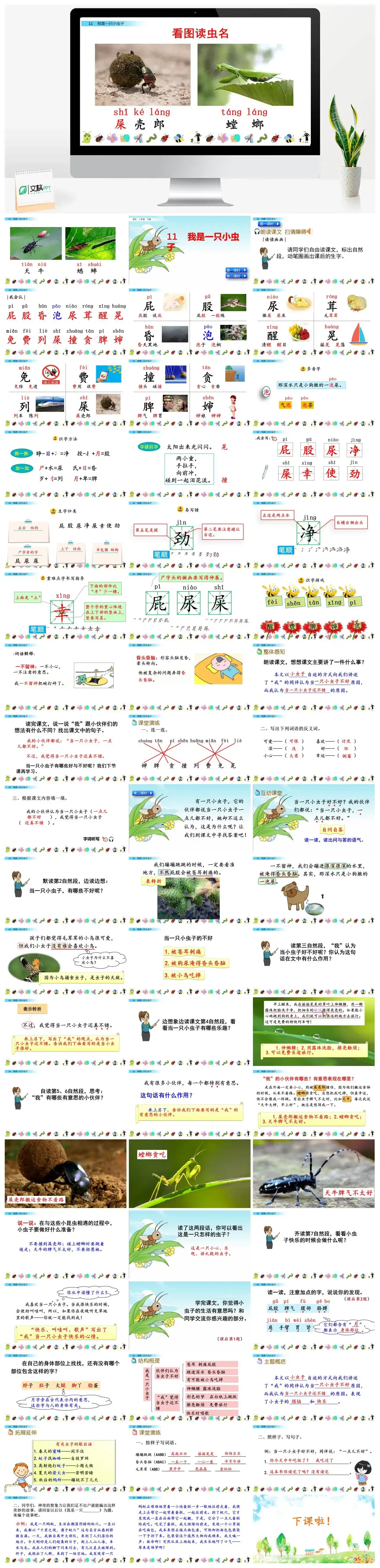 二年级语文下册课件PPT课件二11我是一只小虫子