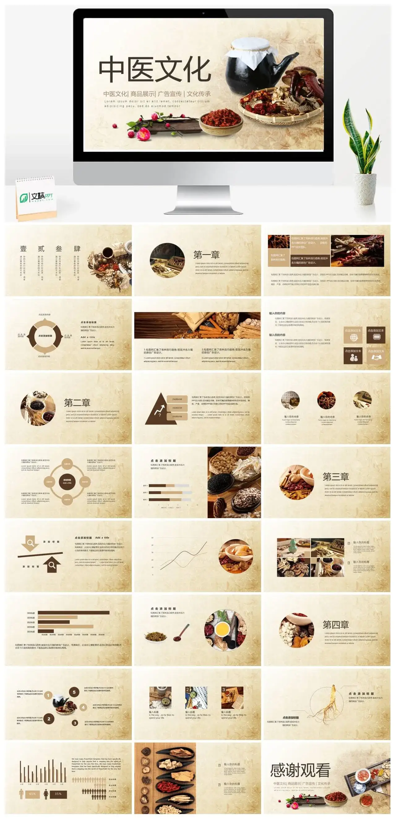 传统中药中医文化PPT模板