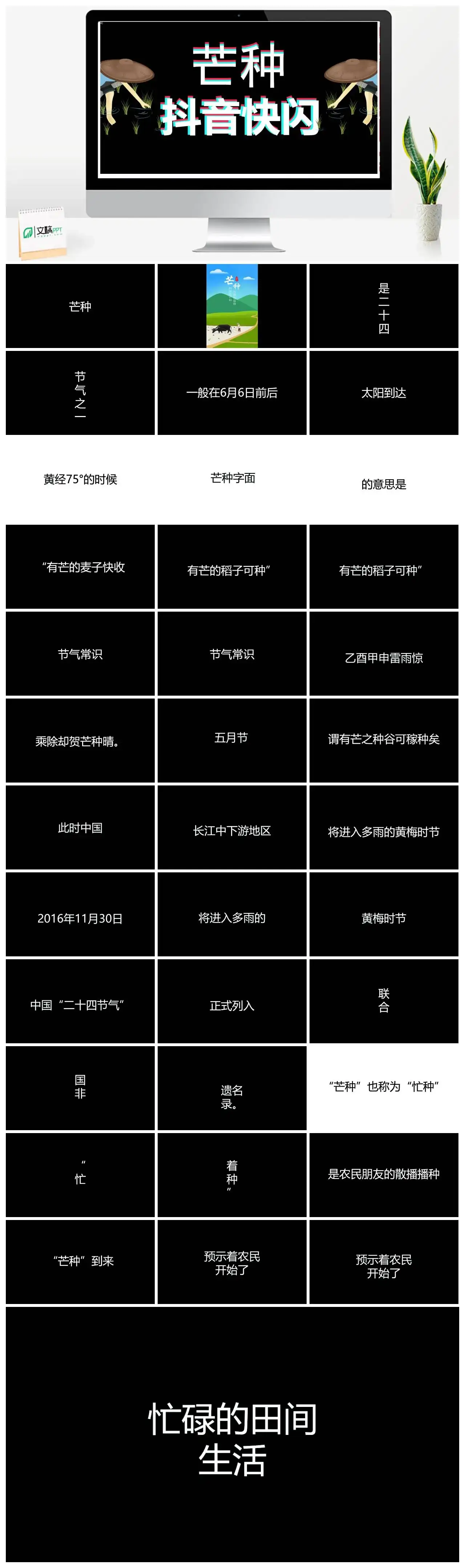 芒种快闪抖音模板PPT快闪风格幻灯片