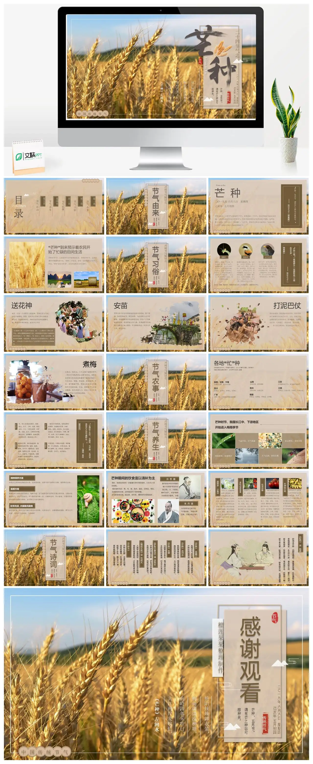 二十四节气芒种PPT