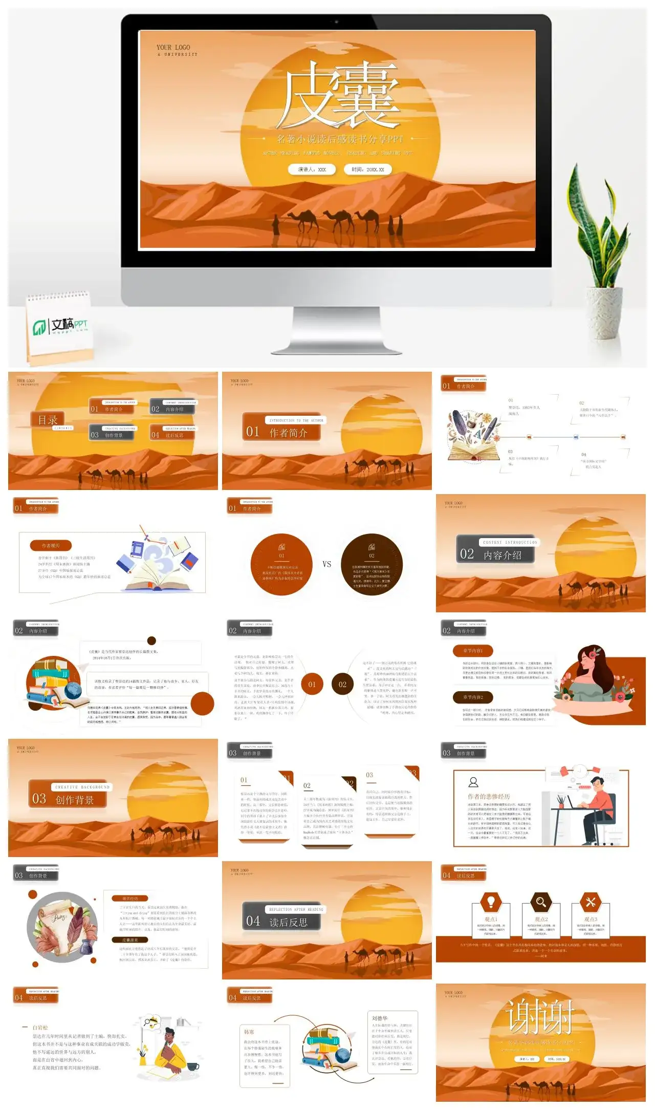 皮囊2读书分享PPT